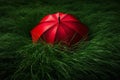 Lush Red umbrella green grass. Generate Ai Royalty Free Stock Photo