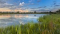 Lush River bank vegetation in forelands Blauwe Kamer Royalty Free Stock Photo