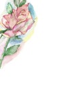 Lush rose on a blurred watercolor background. Original round watercolor frame for beautiful design invitations, greeting cards,
