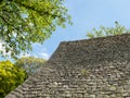 Lush springtime greenery at the walls of Marugame castle Royalty Free Stock Photo