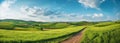 Lush Summer Fields and Blue Skies: A Panoramic View of a Peaceful Countryside, generative AI