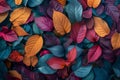 Lush tapestry of colorful autumn leaves in a fullframe background