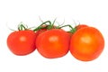 Lush tomato with green branch. Isolated Royalty Free Stock Photo