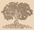 Lush tree drawing vector. A family tree with many leaves, branches and roots