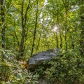 Lush trees and huge rock under bright sky in Provo Royalty Free Stock Photo