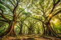 Lush Trees in Rani Forest Royalty Free Stock Photo