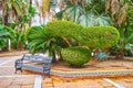 The lush tropic park on Plaza Isaac Peral, El Puerto, Spain Royalty Free Stock Photo