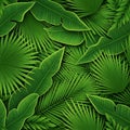 Lush Tropical Foliage Seamless Pattern Royalty Free Stock Photo