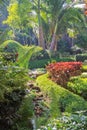 Lush tropical garden in Bangalore