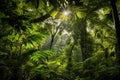 Lush tropical green forest with diverse flora. Tall majestic trees and small bushes and ferns