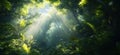 Lush tropical rainforest with sunlight filtering through dense foliage and vibrant greenery Royalty Free Stock Photo
