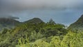 Lush tropical thickets on the hills. Royalty Free Stock Photo