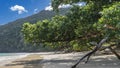 Lush tropical trees lean over the sandy beach. Royalty Free Stock Photo