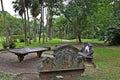 Cement benches and table for picnic in the middle of the garden. Deep forest in the background. Sao Paulo Botanical Garden