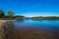 Lush Vegetation Around Raystown Lake, in Pennsylvania During Sum Royalty Free Stock Photo