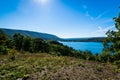 Lush Vegetation Around Raystown Lake, in Pennsylvania During Sum Royalty Free Stock Photo