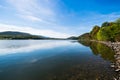 Lush Vegetation Around Raystown Lake, in Pennsylvania During Sum Royalty Free Stock Photo