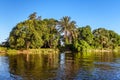 Lush vegetation