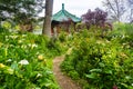 Lush vegetation in Golden Gate Park, San Francisco Royalty Free Stock Photo