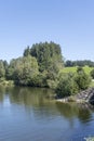 lush vegetation on green shore at Rottachsee Alpine lake, Oy-Mittelberg, Germany