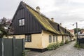 Lush vegetation of Hollyock plants on cobbled pavement at traditional terraced houses with straw roofs, Dragor, Denmark