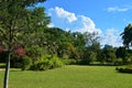 Lush vegetation at the Pamplemousse Botanical Gardens in Mauritius