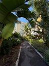 The lush vegetation of the south of France in Nice Royalty Free Stock Photo