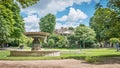 Lush, verdant garden with a plethora of plants and trees in full bloom