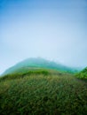 Lush, verdant hillside is shrouded in an ethereal mist, with wispy clouds gathered low in the sky.