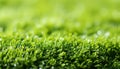 Lush and vibrant artificial grass texture background for design and decoration purposes