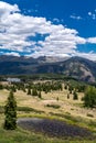 Lush view of the Rocky Mountains along the Million Dollar Highway in Colorado, near Silverton. Lillypad pond in foreground Royalty Free Stock Photo