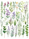 Lush Watercolor Herb Garden: Each Plant Distinct and Detailed AI Generated