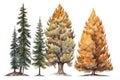 Lush Watercolor Larch Tree Forest Collection .