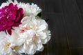 Lush white and one purple peony on a dark gray wooden floor background. Beautiful tender bouquet as a gift on a happy holiday Royalty Free Stock Photo