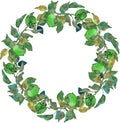 Lush wreath green apples leaves branches ornament isolated