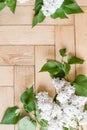 Lushly blooming white lilac branches with green leaves isolated on a wooden geometric background