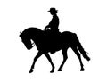 Dressage horse silhouette Royalty Free Stock Photo