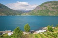 The Lustrafjord with Solvorn on the far side Royalty Free Stock Photo