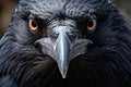 Lustrous Raven closeup. Generate Ai