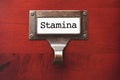 Lustrous Wooden Cabinet with Stamina File Label Royalty Free Stock Photo