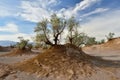 The Lut Desert locate near Kerman, Iran Royalty Free Stock Photo