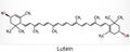 Lutein, xanthophyll molecule. It is type of carotenoid, food additive E161b. Structural chemical formula
