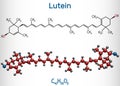 Lutein, xanthophyll molecule. It is type of carotenoid. Structural chemical formula and molecule model