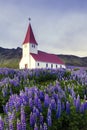 Lutheran Myrdal church