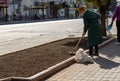 Lutsk, Ukraine - May 11,2020: Flower gardeners at work wear protective mask on a public street during coronavirus epidemic.