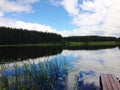 Luttle lake with water lilies in Siberia