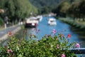 French geraniums on the bridge railing Lutzelbourg in the autumn sun with out of focus in the background pleasure boats in the Mar