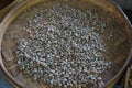 Luwak coffee as made and sold in Bali, Indonesia Royalty Free Stock Photo