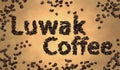 Luwak Coffee Coffee Bean on Old Paper Royalty Free Stock Photo