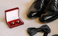 Luxary men accessories shoes cufflinks bow tie lie